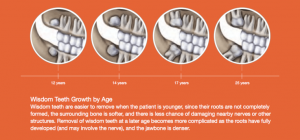 wisdom teeth growth by age